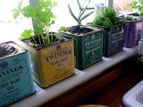 recycle_co_uk's tweet photo. Colourful tea cans #repurposed as pots to create a herb garden: http://t.co/AFJYAtoRB0 http://t.co/QfQ74FICV4