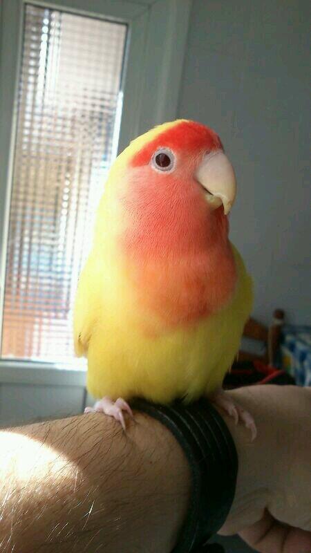 esthertxu90's tweet photo. I miss you Kika! By @ikeamendi http://t.co/2tchnyF2IQ