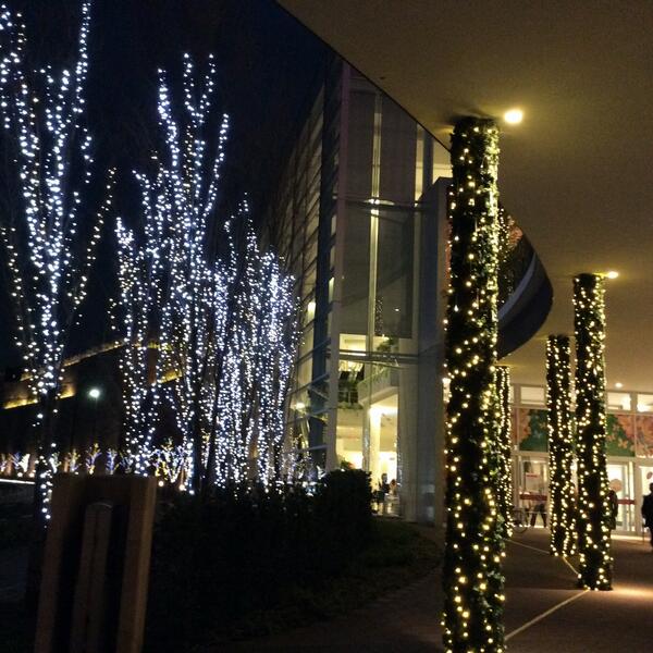 こんなイルミネーションが…