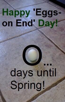 Focus13Learning's tweet photo. Happy #vernalequinox from Focus13!  We love a day of #balance. http://t.co/yxhr80a8dh