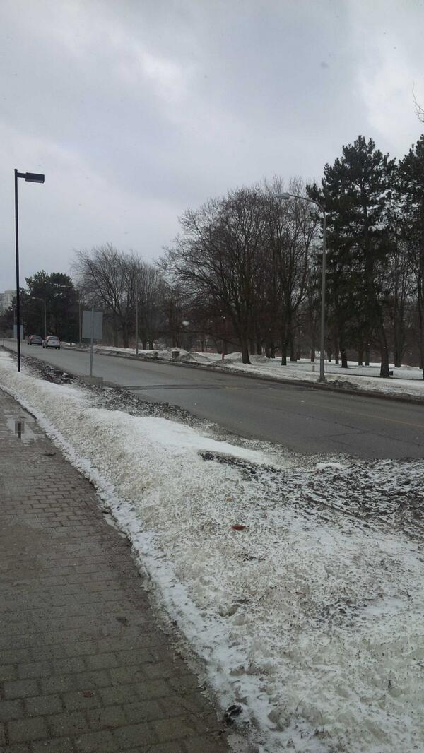 tarynGUziK's tweet image. #springhassprung #justkidding #weliveinCanada #foreverwinter