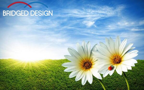 BridgedDesign's tweet photo. First day of Spring and the beginning of #MarchMadness?! I can dig it... http://t.co/sua4rSuL6y