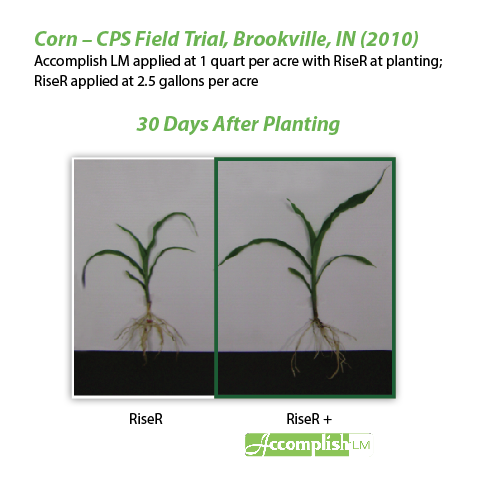 AgricenCo's tweet photo. A Quick Look at Accomplish LM with 10-34-0, RiseR and Black Label Zn http://t.co/8yYnuxitK1 #springstarter http://t.co/vmoIsTsWKv