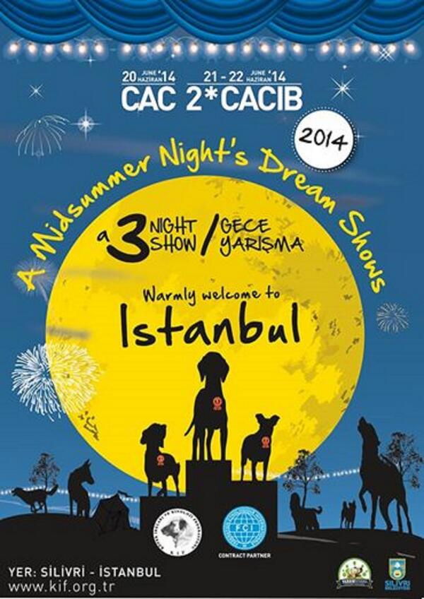 “Bir Yaz Dönümü Gecesi Rüyası” 2014 Yarışmaları Programı ile devam ediyor…