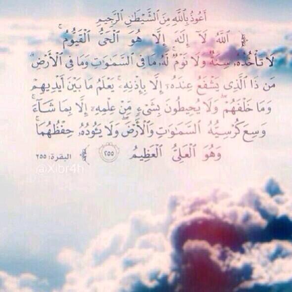 najwa7009 tweet picture