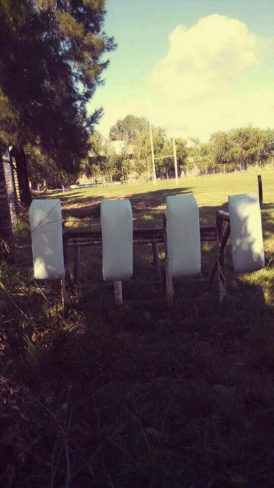 El club sigue creciendo cada vez mas.... Ahora nuevo potro, a empujar mas que nunca....