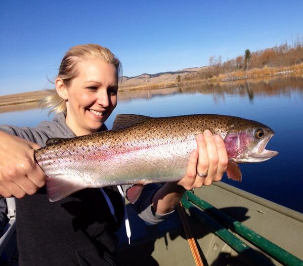 FLYFISHHER's tweet photo. This also makes me happy! Bring on the spring! #rainbowtrout #flyfishing #bc http://t.co/0jNmuevGIl