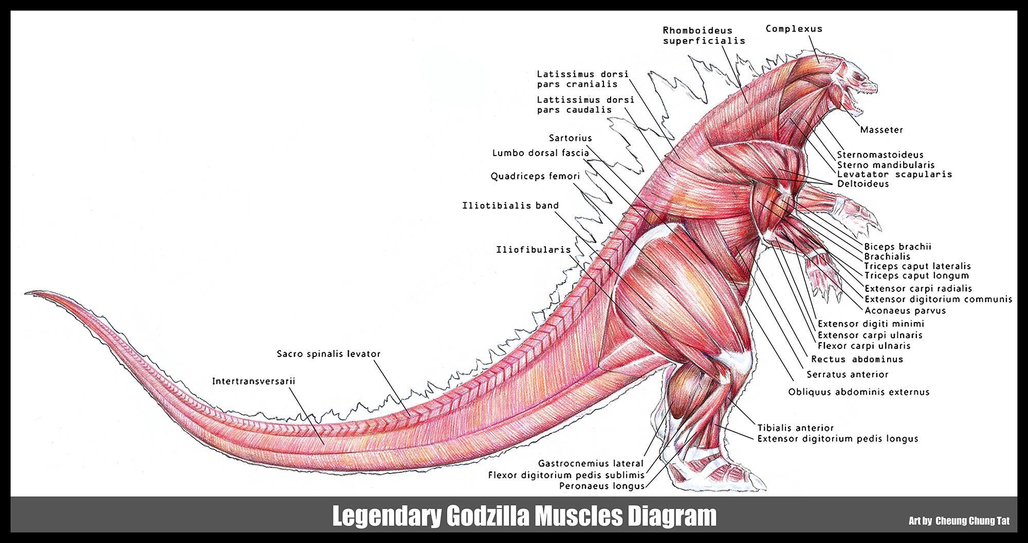 Godzilla muscle design! - Godzilla 2014 Forum
