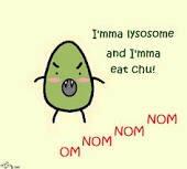 #organelleelection2014 #letsgo