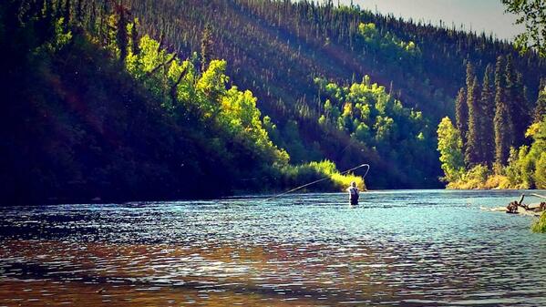 BoiseDailyPhoto's tweet photo. Soon RT @Fish_Pimp_Co: Looking forward to days like this. #fishpimp #flyfishing #idahome #boise #heaven http://t.co/zXJTda5tas