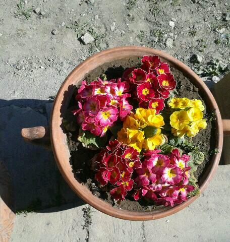 BiricikDuru's tweet photo. Iyi aksamlar http://t.co/boGTF3bGiI