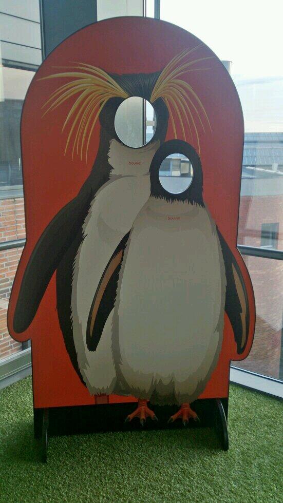 ainasm's tweet image. Mystiske typer på jobb. #bouvetone #bouvet