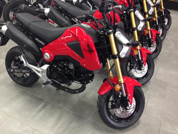 the street legal Honda Grom has arrived $126 a month with 0 down