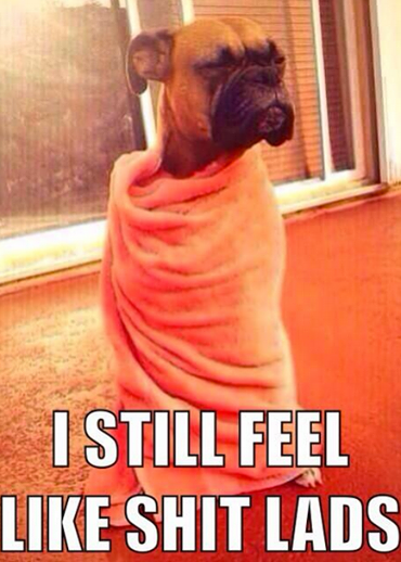 AshleighMayox's tweet photo. “@IbizaClubnews: Two weeks after a heavy session in Ibiza! http://t.co/j8XRpXYqSI” @StephyHamillx sooo us 😂😂