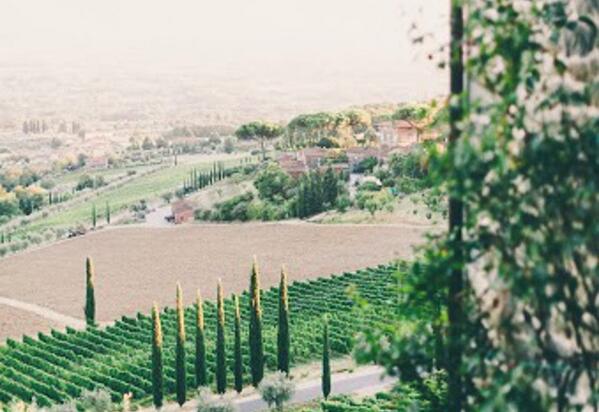 Our friends <a href="/wed_design/">Franci's Flowers</a> &amp; <a href="/LisaPoggiPhoto/">Lisa Poggi</a> peaking our wanderlust once more with Tuscan love stylemp.com/1qpe