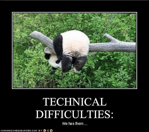 ImMrPanda tweet picture