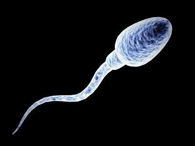 INSANE_CON's tweet image. TBT... I was alot better looking, but my dad was such a Dick Head!  He threw me on mom once an....wait...nevermind.