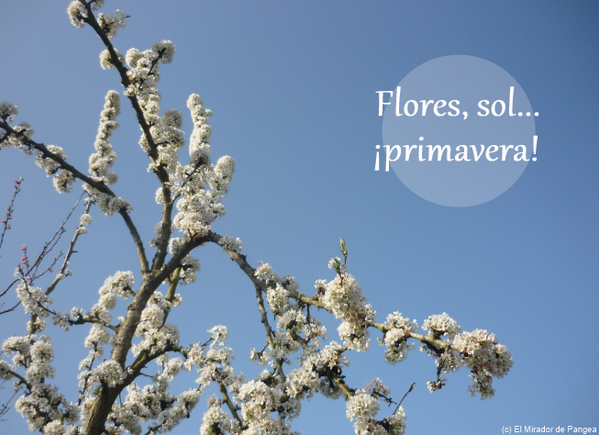Ya está aquí! ¿Que planes teneis para esta primavera? :) #primavera #summeriscomming