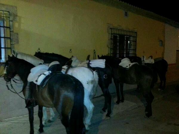 Anibal_Poncee's tweet photo. Que vengan muchos días como ese @DaGordo63 http://t.co/nHkoNPpnsO
