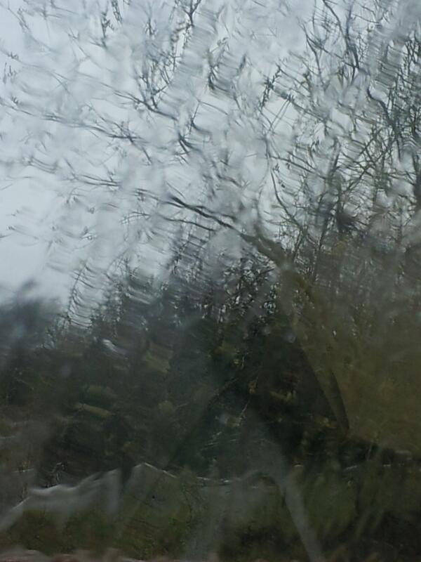 sammsamm10's tweet image. instead it is this! #happyspringtime