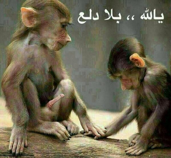 abu_ghla1's tweet photo. ☺̩̲̭      ورع Eid ☺ http://t.co/lM3G61ct0J