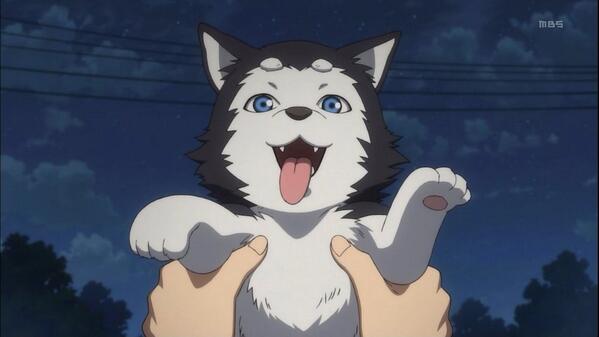 テツヤ二号 Tetuya 2 Nr Twitter テツヤ二号 Tetuya 2 Nr Twitter