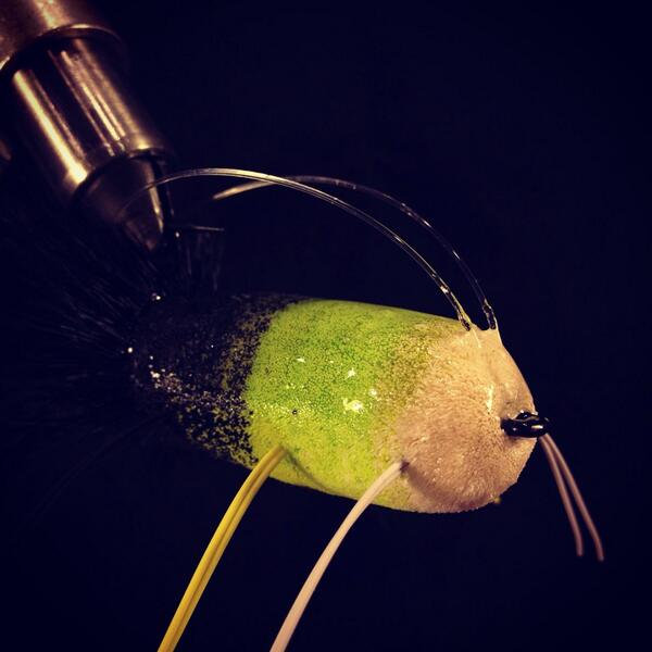 mainstreamflyco's tweet image. From now on I will be using epoxy on all deer hair flies instead of CCG, there will be a website post soon about it.