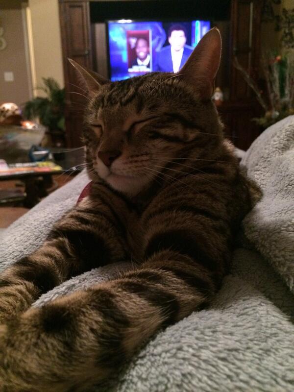 garretbarkley's tweet photo. I guess march madness bores her http://t.co/tSwIrxE325