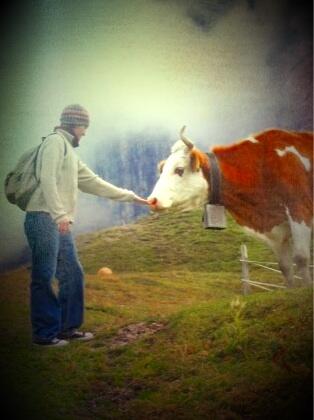 PixologyApp's tweet photo. I call this one "moo cow" Made with #Pixology http://t.co/rO4E8DGOEc http://t.co/8hvRH6FGOS