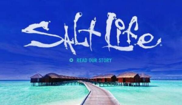 RayGainer111's tweet image. 