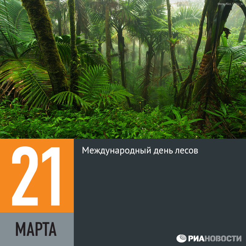 Февраля, открытка с международным днем лесов