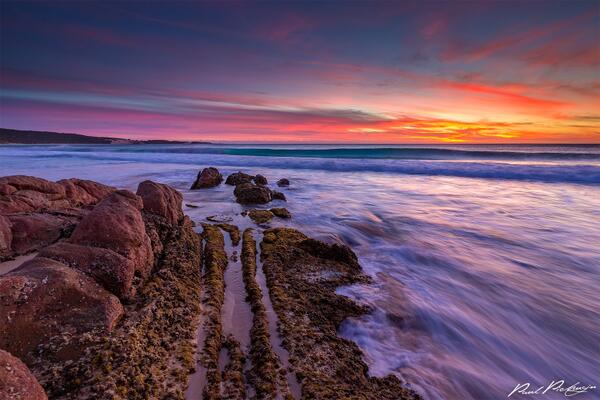 Western Australia tweet media