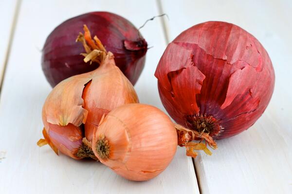 LifeEnergyFoods's tweet photo. Prebiotics naturally found in (Fructo-oligosaccarides) or fructans. for e.g Onion, Garlic, Artichoke, Bananas &amp;Tomato http://t.co/AonOhkOwGi