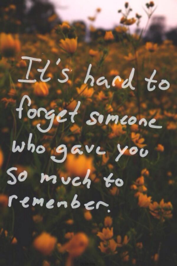 OkayTumblr's tweet image. 