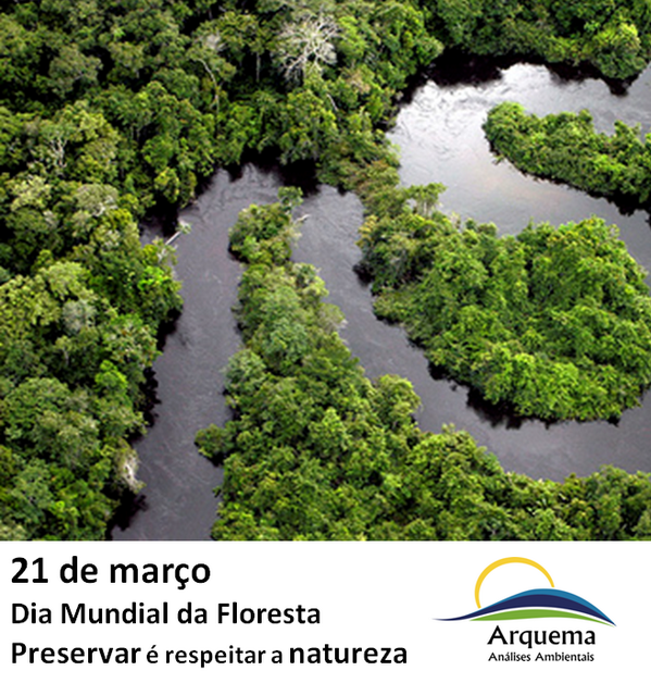 Arquema tweet picture
