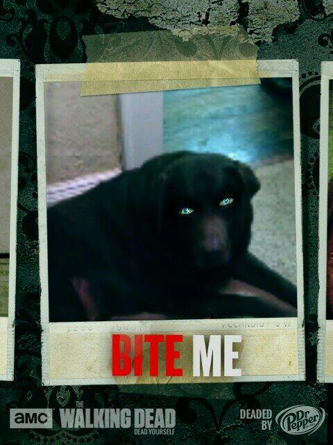 browndog2001's tweet photo. http://t.co/ykML9EdNjk