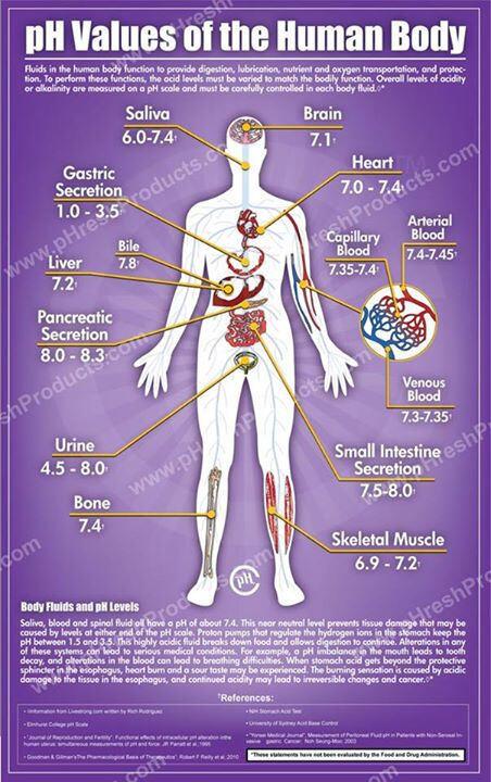 worldofchemicals on Twitter: "PH value of Human Body http ...