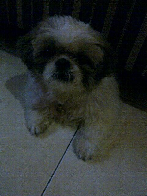 Fenny1122's tweet photo. Mukanya polos bgttt kwkwkwk http://t.co/JIP90E4BWq