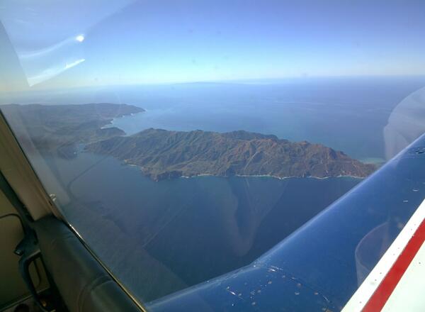 Catalina Island #throughglass