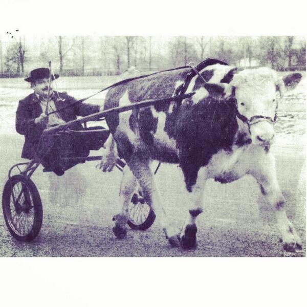 Spets o slut. #älskatrav