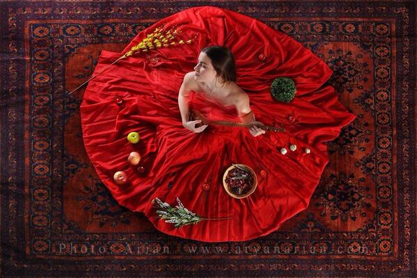 Amir Mehdi Sefidari tweet media