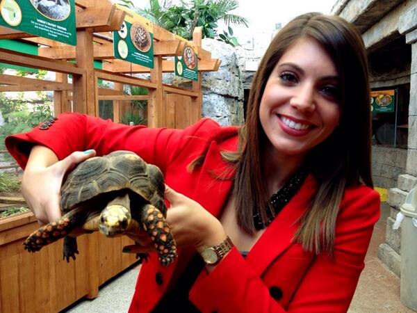 KellyRippin's tweet photo. Made a new friend at the @NewportAquarium! #TurtleCanyon opens this weekend! Come check it out! http://t.co/CW6SDRINmf