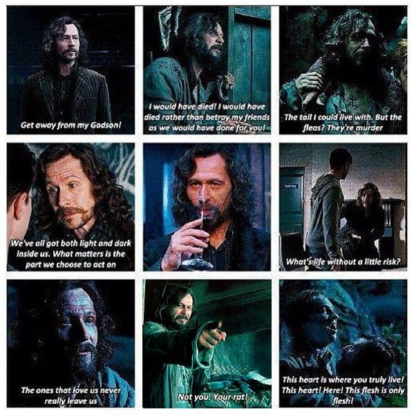 Harry Potter World On Twitter Sirius Black Movie Quotes