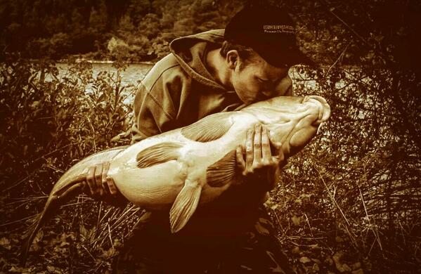 carpmichiel's tweet photo. Dreaming of #france #carpfishing #karpervissen #vissen #frankrijk over 2 weken weer gas erop! http://t.co/aWm8TfuhG7