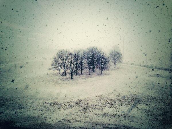 jtmetz's tweet photo. Happy second day of spring… http://t.co/FWk5xdXJ3B
