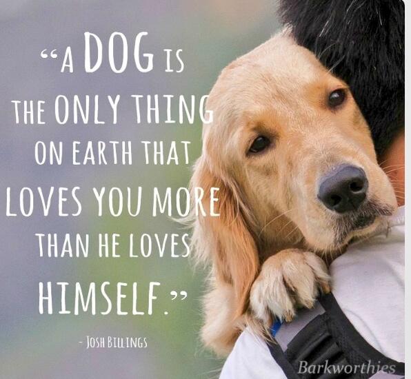 AlwaysAnimal's tweet image. so true...rt if you agree!! 😘😘🐶