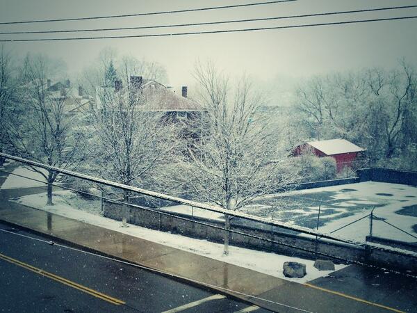 anp_esq's tweet image. Spring. #pittsburghproblems