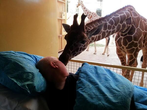 NBCNightlyNews's tweet photo. 7 stories to skim: Giraffe kisses dying zookeeper goodbye http://t.co/wnI5dThxE0 http://t.co/kImxfeNswN