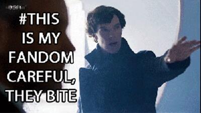FandomsProblems's tweet image. Me when introducing Sherlock: