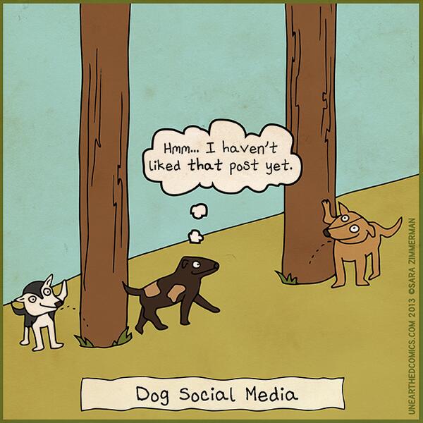 Un poco de Social Media al estilo de los perros...